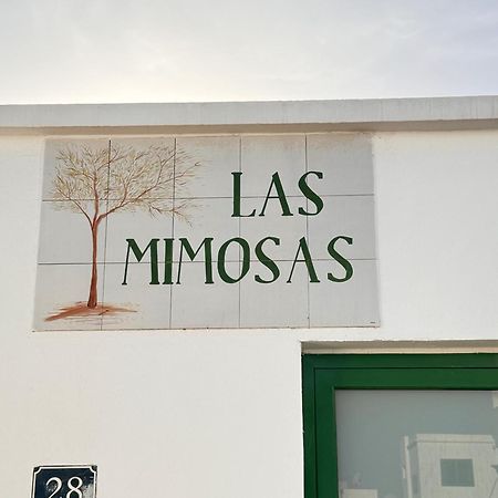Las Mimosas 푸에르토 델 카르멘 외부 사진